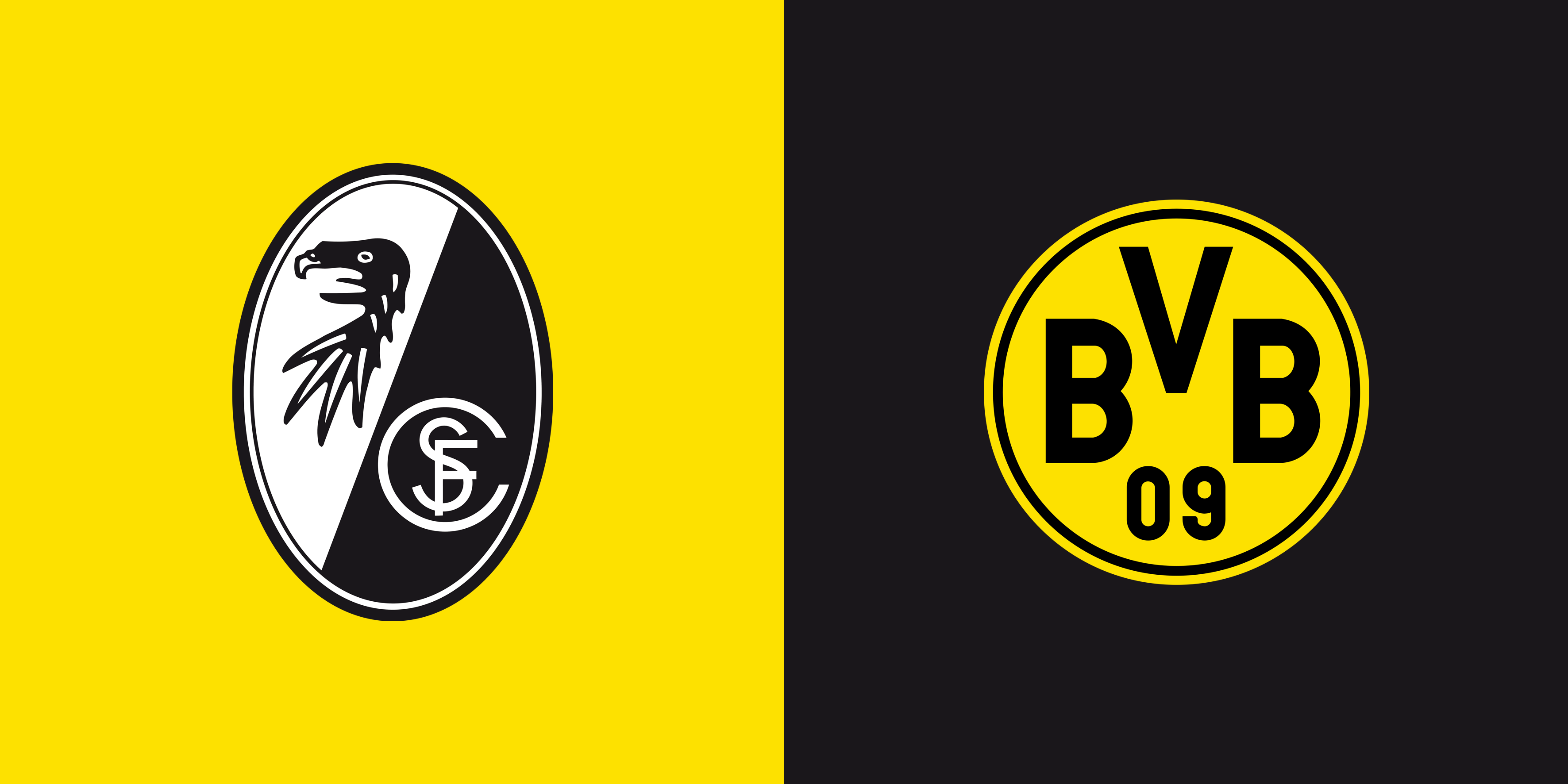 不锈钢亮饰条智能生产线